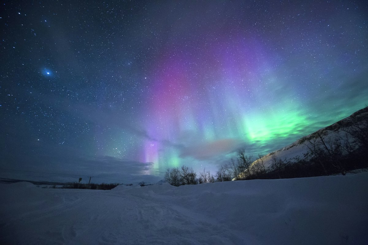 Taa De Portugal Streaming — Matthew Snow polar photography